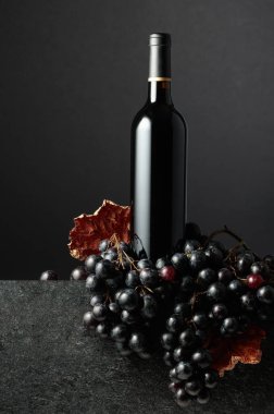 Juicy blue grapes and a bottle of red wine on a black background.