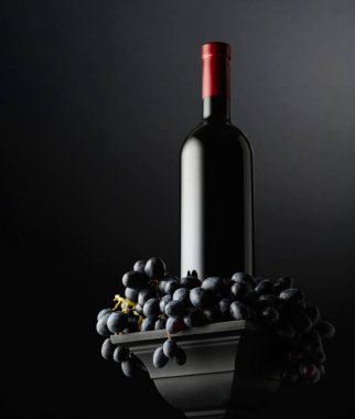Siyah arka planda mavi üzümler ve bir şişe kırmızı şarap. Yana ve alta bak. Seçici odak.