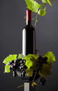 Siyah bir podyumda bir şişe kırmızı şarap. Mavi üzümlü ve asma dallı şarap. Boşluğu kopyala.