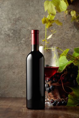 Eski ahşap bir masada mavi üzümlü ve asma dallı bir şişe kırmızı şarap..