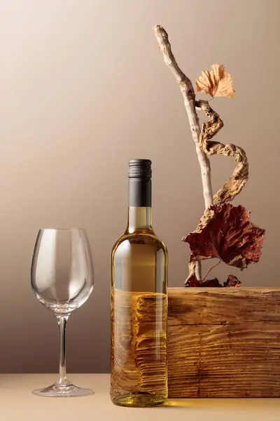 一壶白葡萄酒 由古老的木板 干的塞子和干的葡萄藤叶组成 中性米色背景 用于产品品牌 身份和包装 复制空间 前视图 — 图库照片