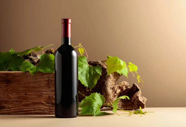 Botella Vino Tinto Con Madera Vieja Ramas Vid Copiar Espacio —  Fotos de Stock