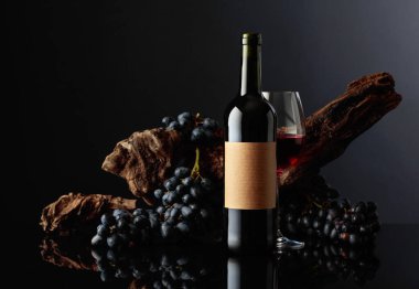 Eski etiketli bir şişe kırmızı şarap. Arka planda eski yıpranmış çıkıntı ve mavi üzümler.