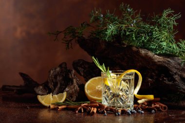 Limon, tarçın, anason ve ardıç meyveli kokteyl cin toniği. Arka planda eski engeller ve ardıç dalları.