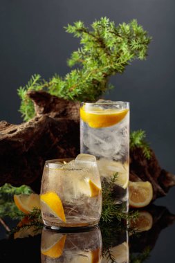 Siyah yansıtıcı arka planda buzlu ve limonlu kokteyl cin toniği. Eski engeller ve ardıç dallarıyla buzlu içecek..