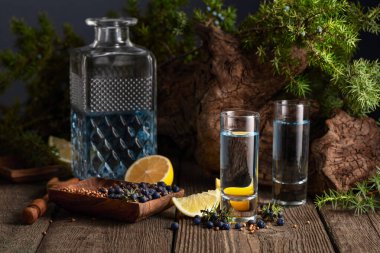 Eski ahşap bir masada mavi cin ve ardıç dalları. Malzemeli cin - ardıç meyvesi, kişniş tohumu ve limon dilimleri..