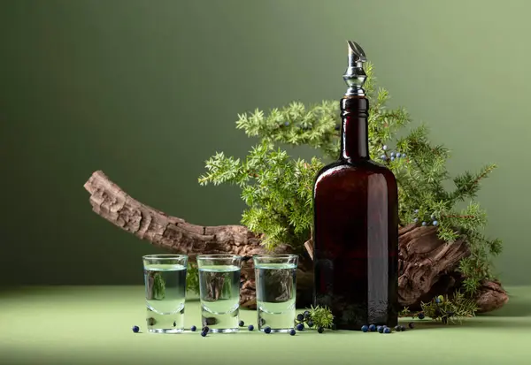 Gin Vinobraní Láhev Pozadí Starých Hadů Jalovcové Větve Bobulemi Zelené — Stock fotografie