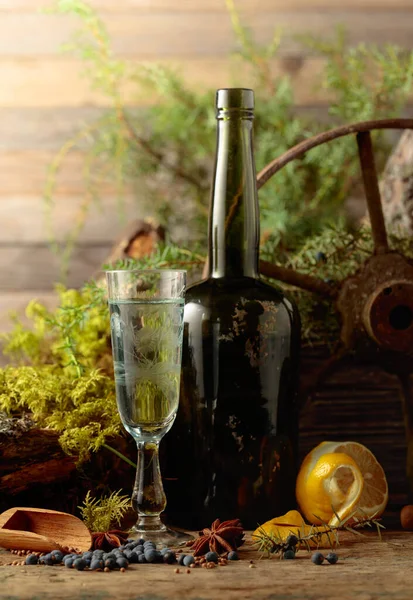 Gin in a small glass and an antique bottle of dark glass. Anise, coriander, and juniper berries are scattered on a wooden table. In the background branches of juniper, old tree, and moss.
