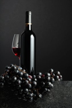 Juicy blue grapes and a bottle of red wine on a black background.
