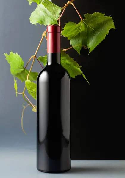 Bottle Red Wine Vine Branches Copy Space — Stock Photo, Image
