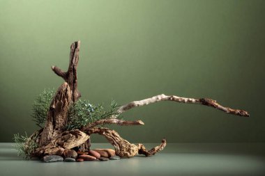 Ardıç, taş ve kuru pürüzlerden oluşan soyut doğa sahnesi. Kozmetik, güzellik ürünü markalaşma, kimlik ve ambalaj için tarafsız yeşil arka plan. Doğal pastel renkler. Boşluğu kopyala, ön görünüm.