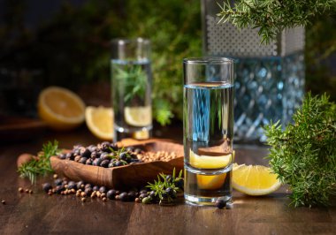 Eski ahşap bir masada mavi cin ve ardıç dalları. Malzemeli cin - ardıç meyvesi, kişniş tohumu ve limon dilimleri..