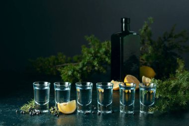 Eski koyu mavi bir masada mavi cin ve ardıç dalları. Ardıç meyveli cin, limon dilimleri ve klasik şişe..