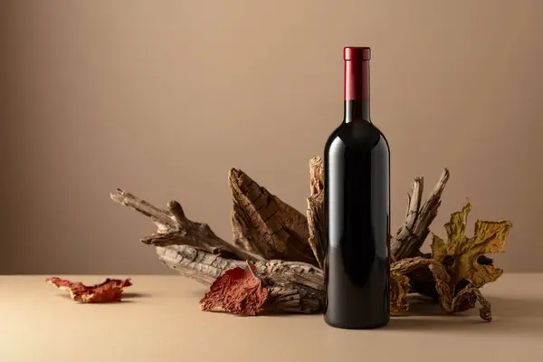 Červené Víno Starý Zádrhel Béžovém Pozadí Kopírovat Prostor — Stock fotografie