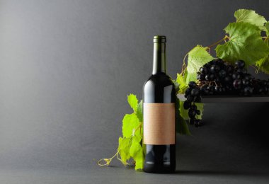 Mavi üzümlü bir şişe kırmızı şarap ve üzüm dalları. Boşluğu kopyala.