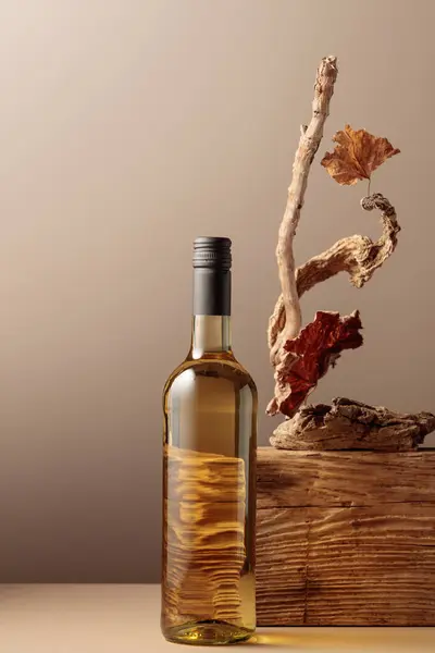 Bottle of white wine with a composition of old plank, dry snags, and dried vine leaves. Neutral beige background for product branding, identity, and packaging. Copy space, front view.