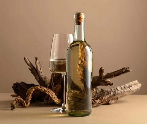 米色背景上的白葡萄酒和鼻涕 复制空间 — 图库照片
