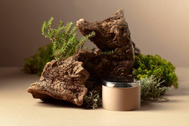 Soyut kuzey doğası sahnesi, bej arka planda liken, yosun ve eski pürüzler içeriyor. Ürününüzü bir podyuma koyun. Boşluğu kopyala.