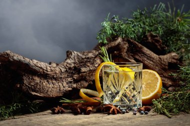 Limon, tarçın, anason ve ardıç meyveli kokteyl cin toniği. Arka planda eski pürüzler, ardıç dalları ve bulutlu bir gökyüzü.. 