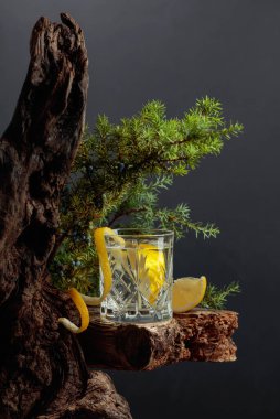 Eski bir tahtanın üzerinde kristal bardakta limonlu kokteyl cin toniği. Arka planda böğürtlen ve ardıç dalları.