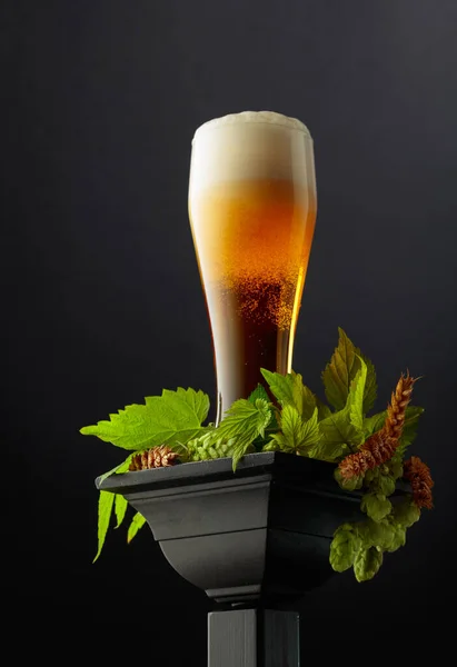 Glass Beer Green Hops Wheat Ears Black Podium — Stock Photo, Image