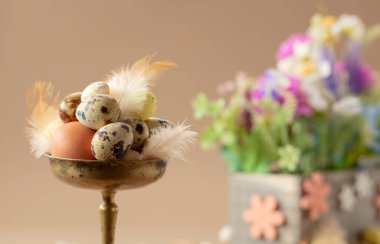 Bej arka planda yumurta, tüy ve bahar çiçekleriyle paskalya kompozisyonu. Seçici odak.