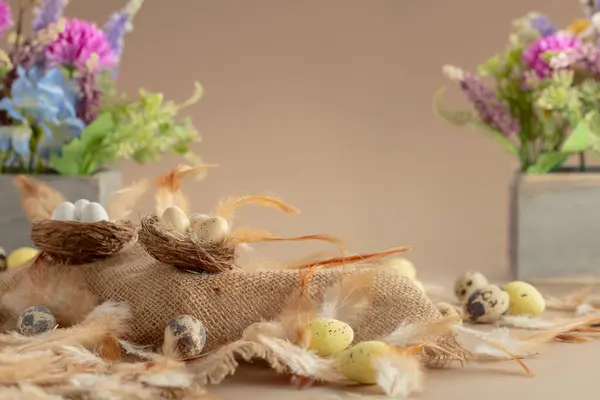 Osterkomposition Mit Eiern Federn Und Frühlingsblumen Auf Beigem Hintergrund Kopierraum — Stockfoto