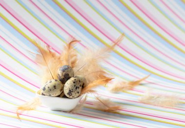 Renkli çizgili arka planda bıldırcın yumurtaları ve tüyleriyle Paskalya kompozisyonu. Boşluğu kopyala.