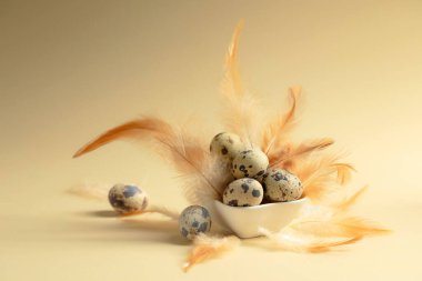 Bej arka planda bıldırcın yumurtası ve tüyleri. Boşluğu kopyala.