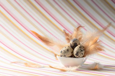 Renkli çizgili arka planda bıldırcın yumurtaları ve tüyleriyle Paskalya kompozisyonu. Boşluğu kopyala.
