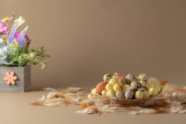 Bej arka planda yumurta, tüy ve bahar çiçekleriyle paskalya kompozisyonu. Boşluğu kopyala.
