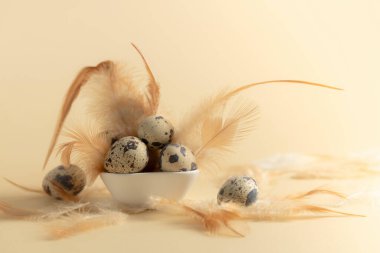 Sarı arka planda bıldırcın yumurtası ve tüyleri. Boşluğu kopyala.