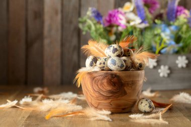 Paskalya kompozisyonu bıldırcın yumurtaları, tüyler ve eski ahşap bir masada bahar çiçekleri. Boşluğu kopyala.