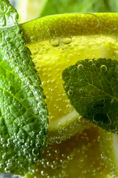 Carbonated drink or cocktail with mint and lime slices.