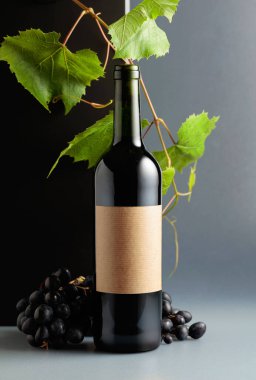 Mavi üzümlü bir şişe kırmızı şarap ve üzüm dalları. Eski boş bir şişede. Boşluğu kopyala.