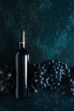 Mavi bir arka planda bir şişe kırmızı şarap ve üzüm. Boşluğu kopyala.