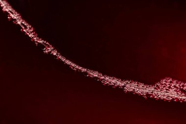 Bardakta kırmızı şarap. Seçici bir odaklanma ile makro çekim. Boşluğu kopyala.