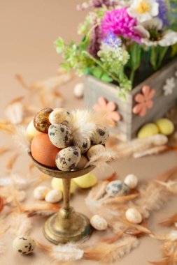 Bej arka planda yumurta, tüy ve bahar çiçekleriyle paskalya kompozisyonu. Seçici odak.
