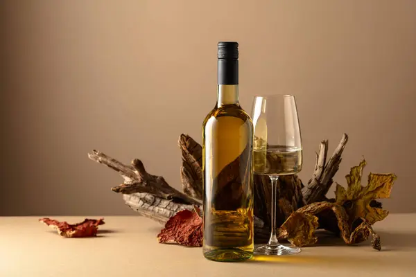 Flasche Und Glas Weißwein Auf Beigem Hintergrund Wein Und Alte — Stockfoto
