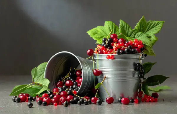 Cherries Red Black Currants Grey Background Fresh Berries Small Metal — Stock Photo, Image