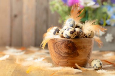 Paskalya kompozisyonu bıldırcın yumurtaları, tüyler ve eski ahşap bir masada bahar çiçekleri. Boşluğu kopyala.