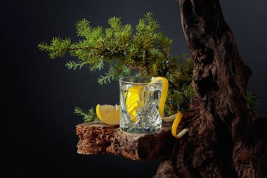 Eski bir tahtanın üzerinde kristal bardakta limonlu kokteyl cin toniği. Arka planda böğürtlen ve ardıç dalları.
