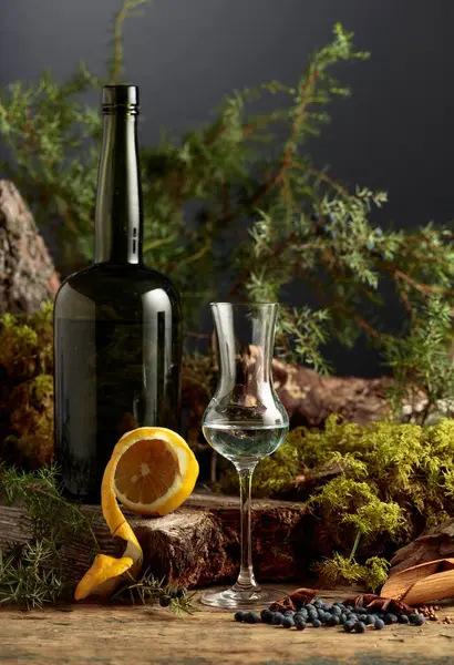 Gin Małej Szklance Zabytkowej Butelce Ciemnego Szkła Jagody Anyżu Kolendry — Zdjęcie stockowe
