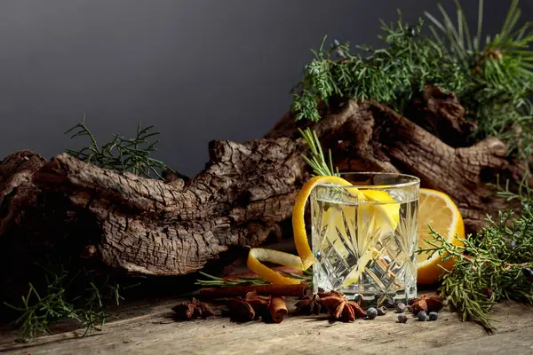 Cocktail Gin Tonic Mit Zitrone Zimt Anis Und Wacholderbeeren Hintergrund — Stockfoto