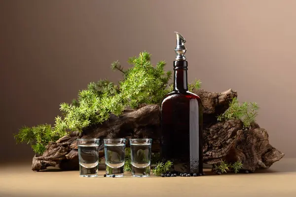 Gin in vintage bottle on a background of old snags and juniper branches with berries. Beige background with copy space.