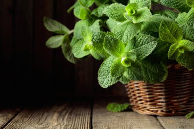 Eski ahşap bir masada, sepetteki taze nane. Boşluğu kopyala.