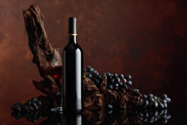 Bottle and glass of red wine. In the background old weathered snag and blue grapes. Copy space. clipart