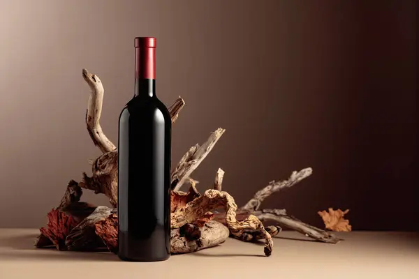 Bouteille Vin Rouge Avec Une Composition Vieux Bois Composition Minimaliste — Photo