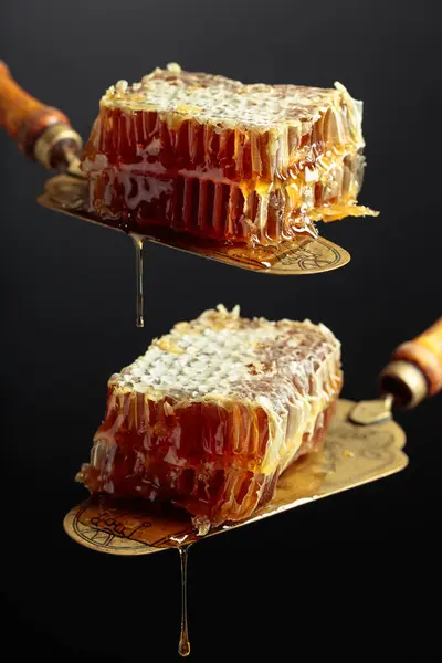Close Honeycombs Antique Brass Spatula — Stok fotoğraf