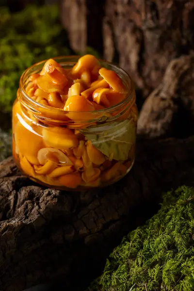 自制腌制蜂蜜蘑菇在玻璃瓶里 森林陷阱上的一小瓶腌制蘑菇 图库图片